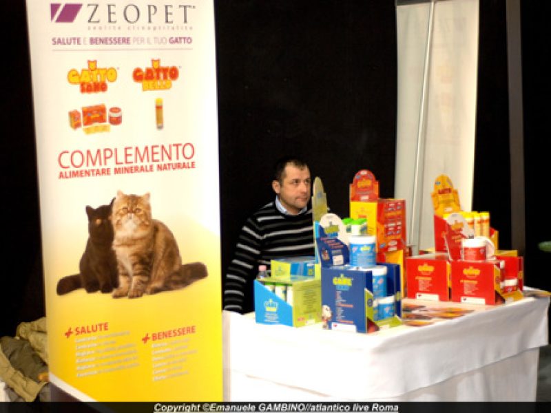 evento cats2